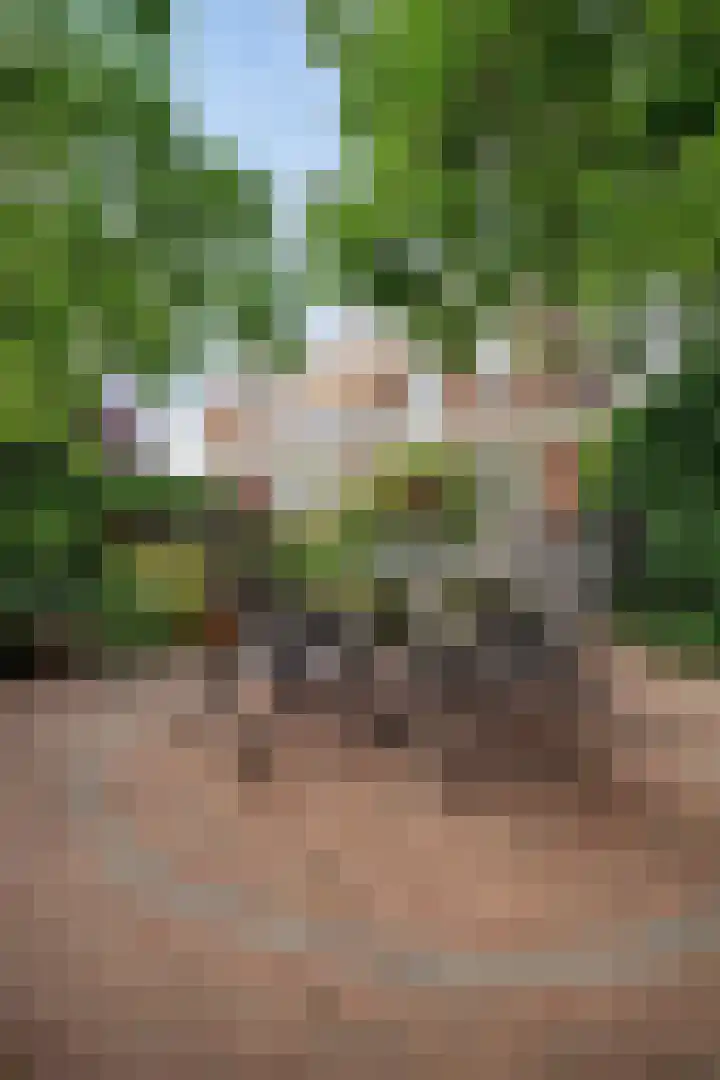 van Beverninghlaan 36 Gouda thumbnail 49