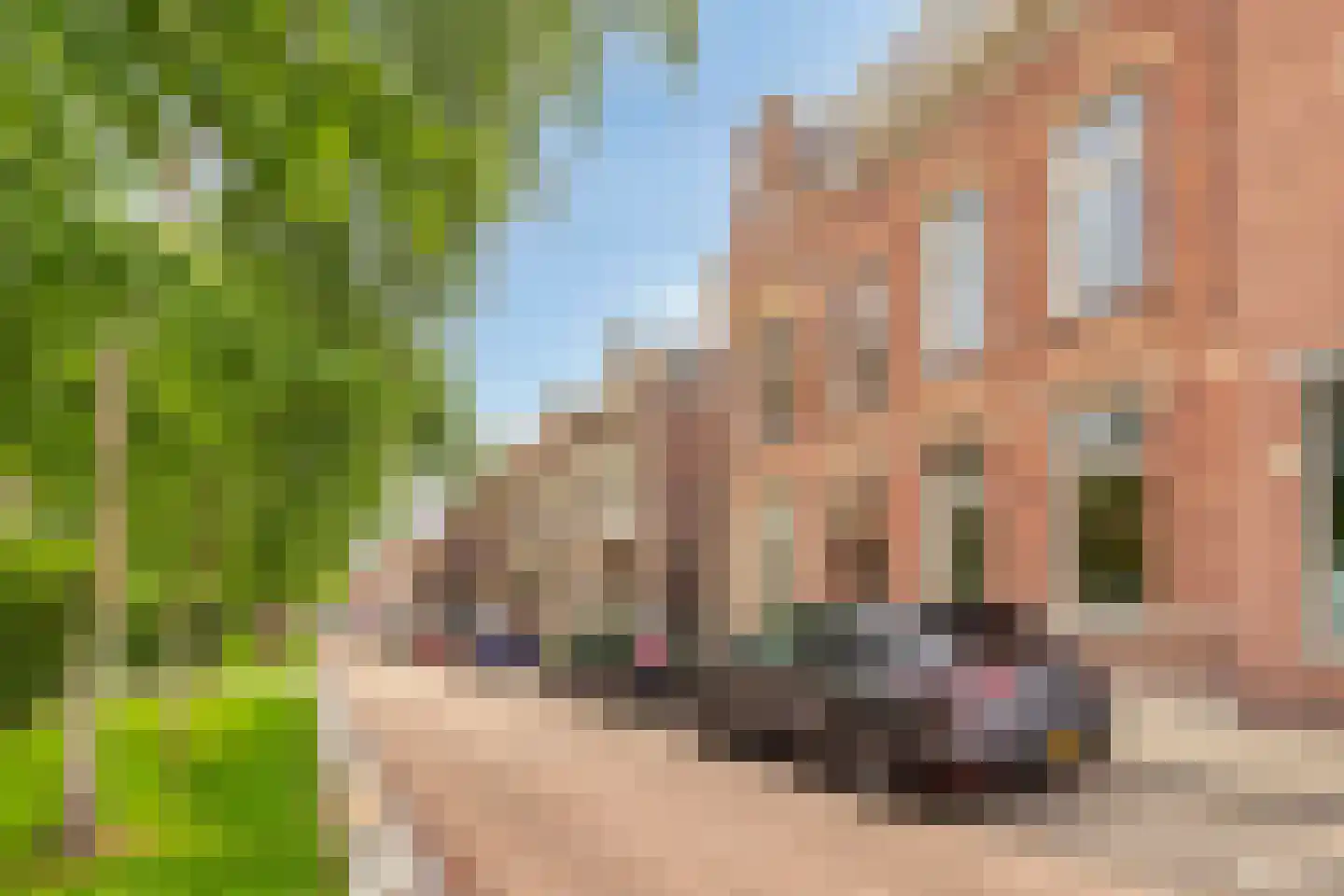 van Beverninghlaan 36 Gouda thumbnail 6