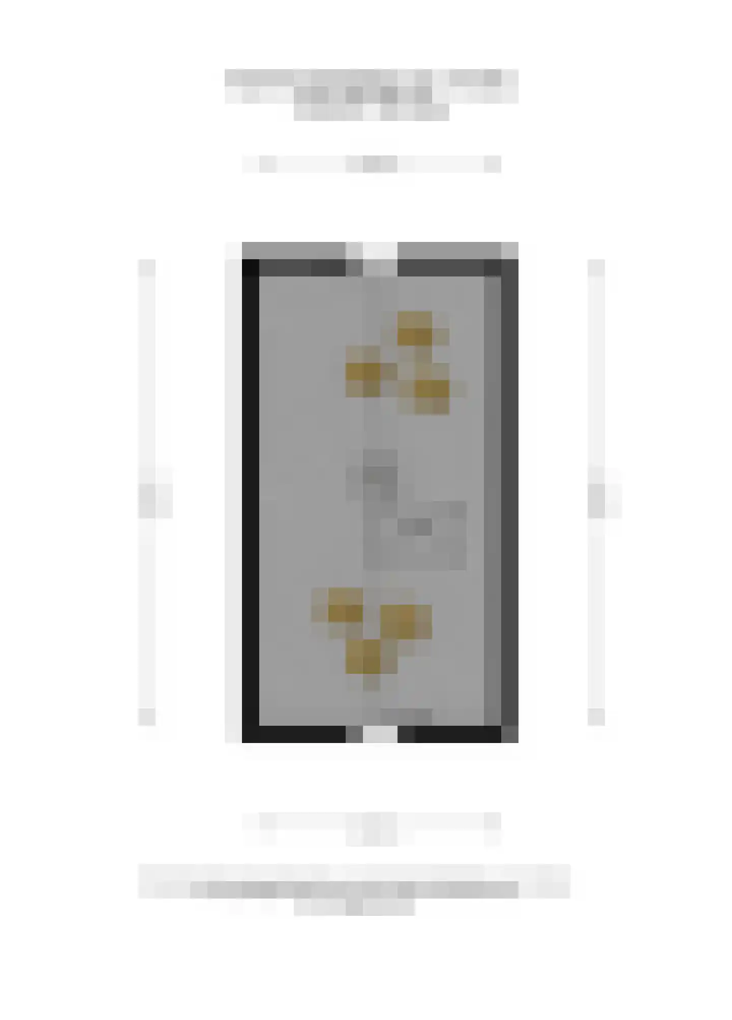van Beverninghlaan 36 Gouda thumbnail 65