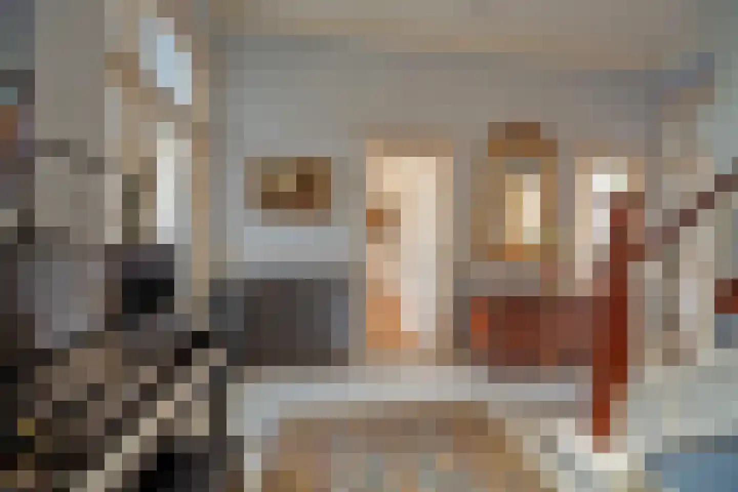 van Beverninghlaan 36 Gouda thumbnail 8