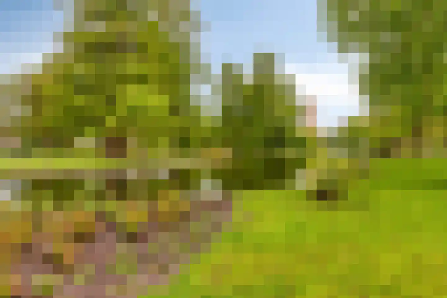 van Beverninghlaan 36 Gouda thumbnail 87
