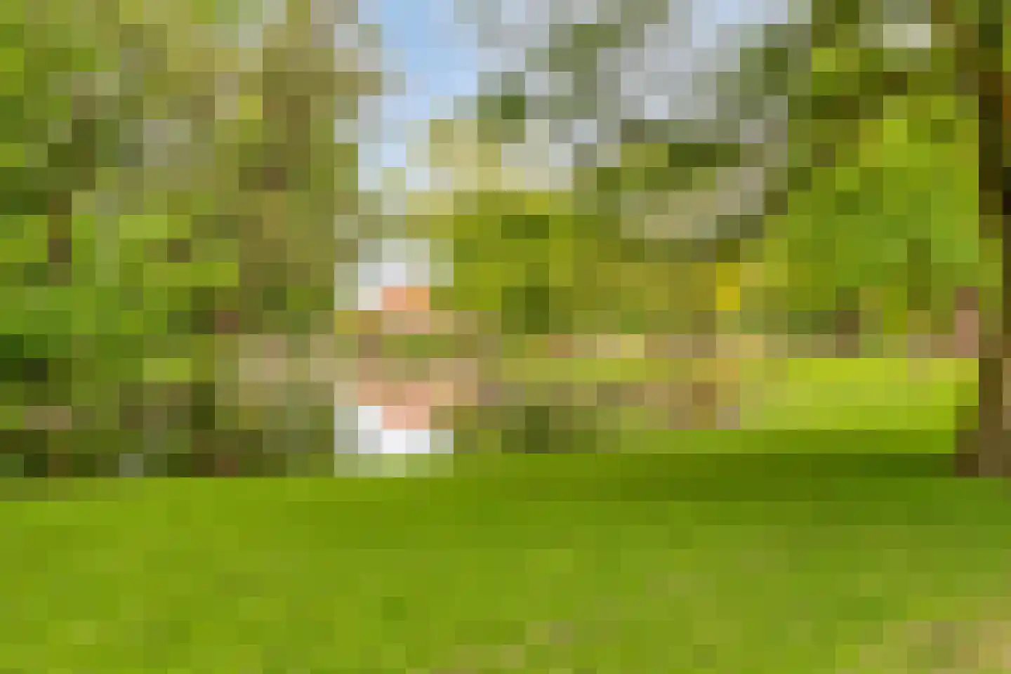 van Beverninghlaan 36 Gouda thumbnail 89