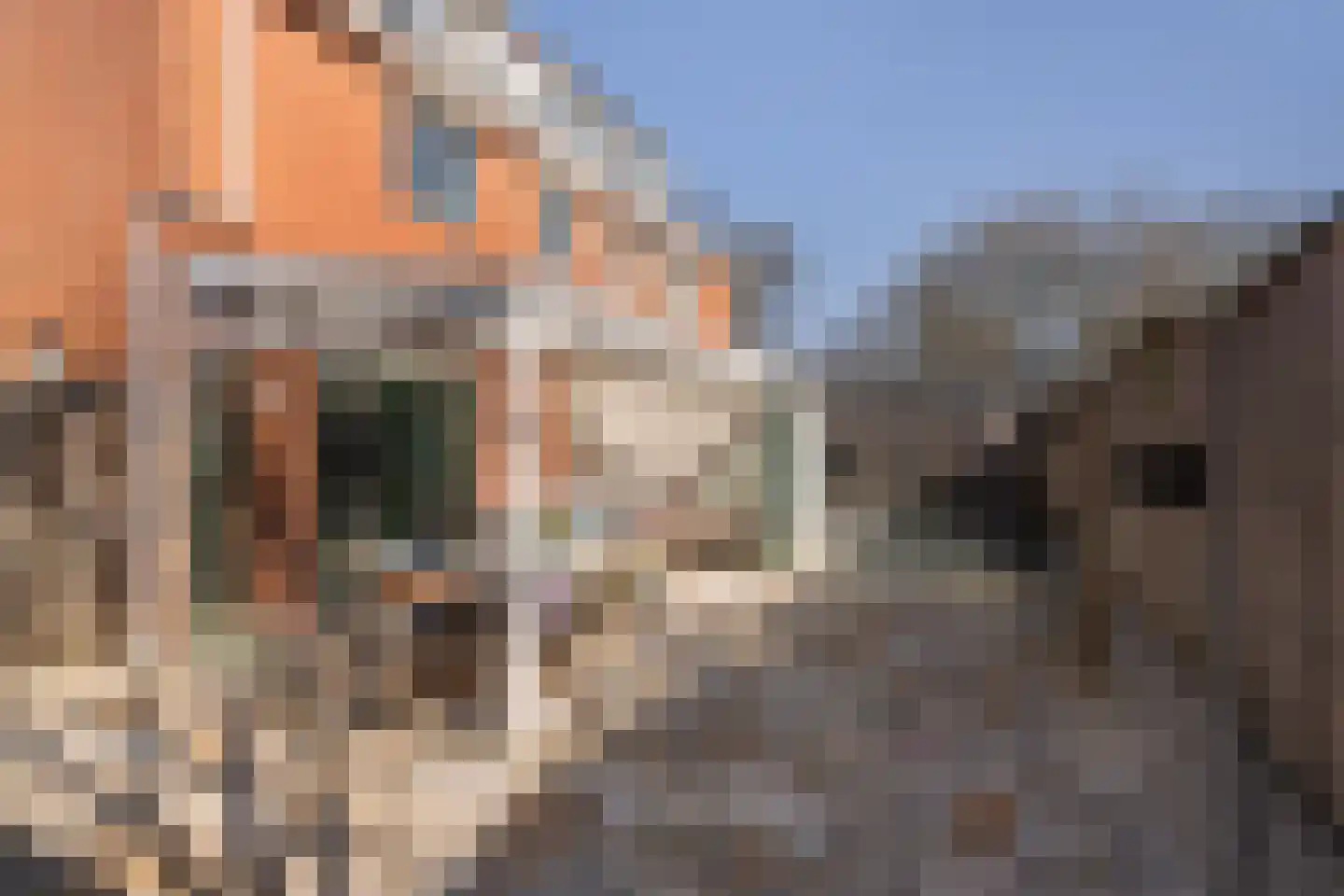 van Beverningkstraat 2 Vlaardingen thumbnail 14