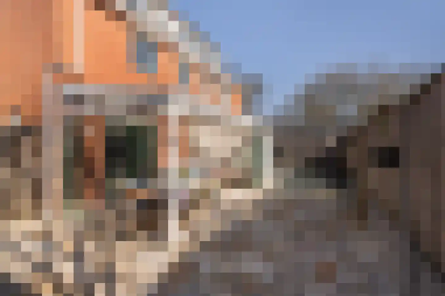 van Beverningkstraat 2 Vlaardingen thumbnail 14