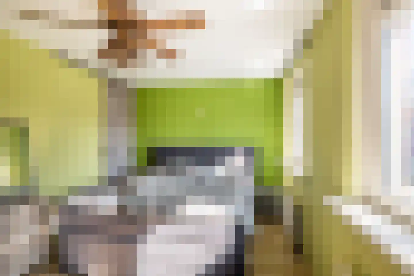 van Beverningkstraat 2 Vlaardingen thumbnail 24