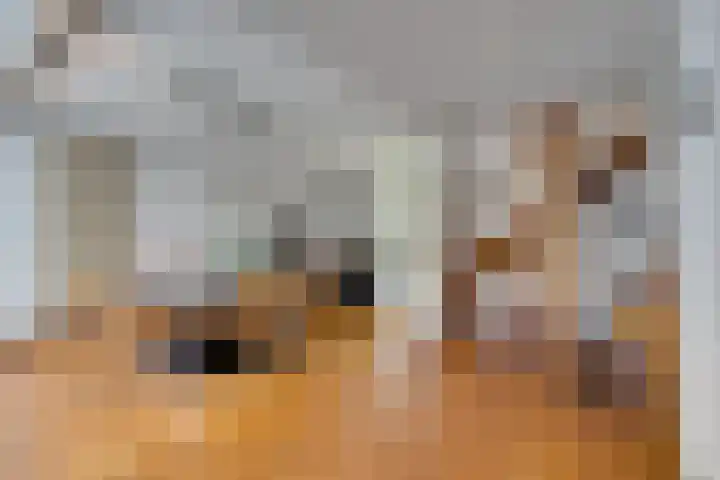 van Bevervoordenhof 13 Landsmeer thumbnail 10