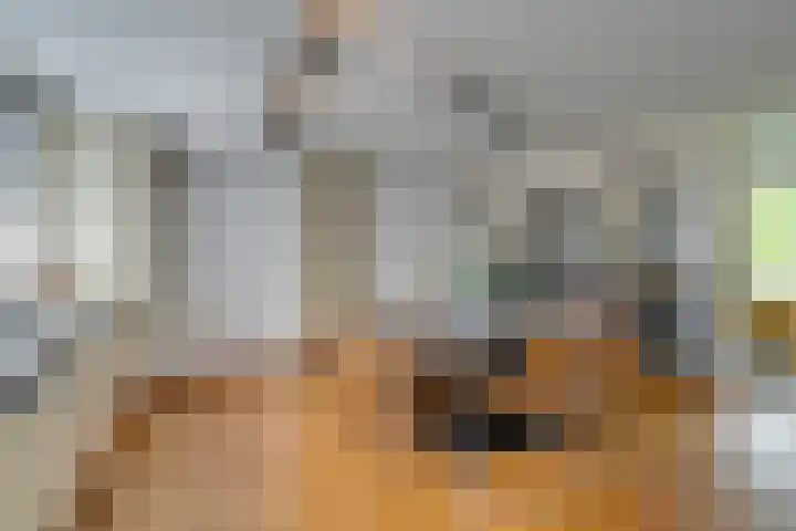 van Bevervoordenhof 13 Landsmeer thumbnail 11