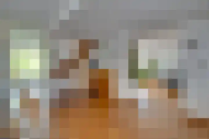 van Bevervoordenhof 13 Landsmeer thumbnail 12
