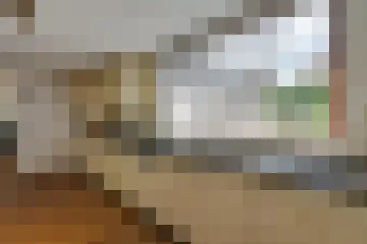 van Bevervoordenhof 13 Landsmeer thumbnail 15