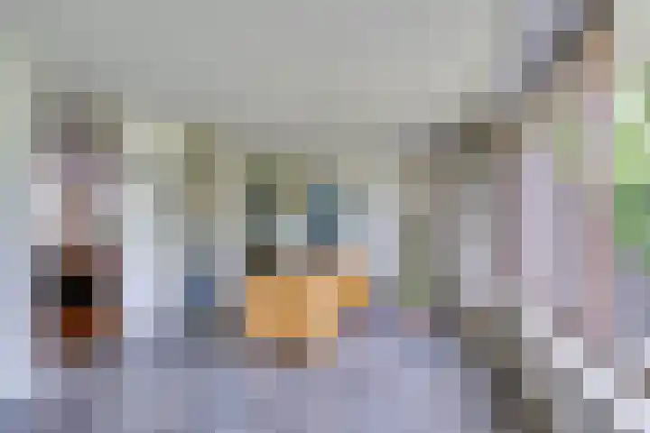 van Bevervoordenhof 13 Landsmeer thumbnail 21