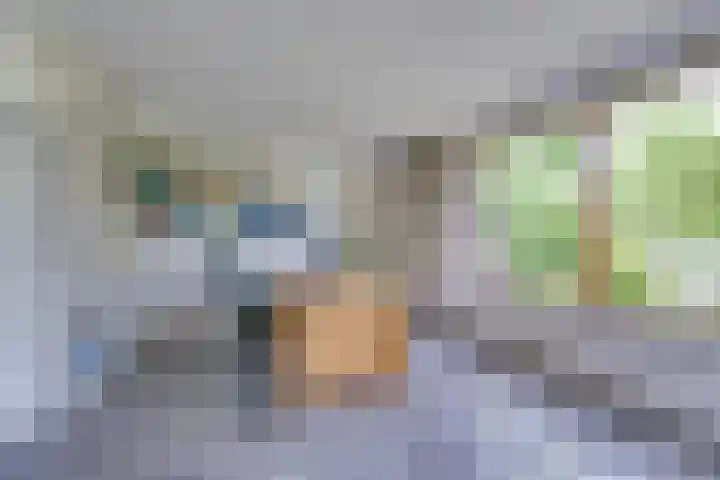 van Bevervoordenhof 13 Landsmeer thumbnail 22