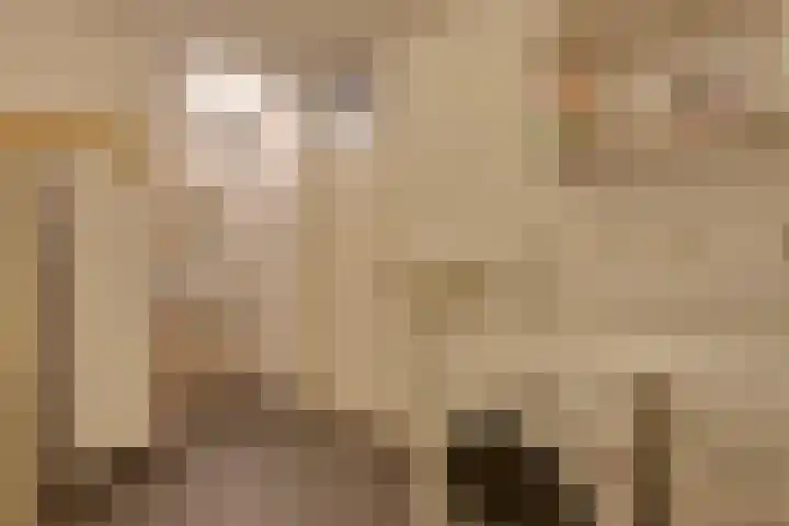 van Bevervoordenhof 13 Landsmeer thumbnail 32