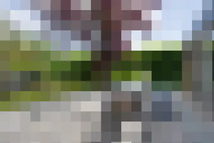 van Bevervoordenhof 13 Landsmeer thumbnail 34
