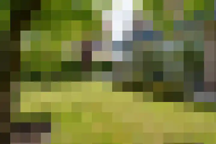 van Bevervoordenhof 13 Landsmeer thumbnail 35