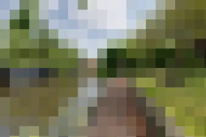 van Bevervoordenhof 13 Landsmeer thumbnail 36