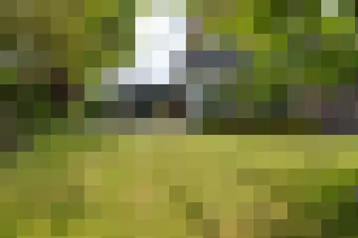 van Bevervoordenhof 13 Landsmeer thumbnail 37