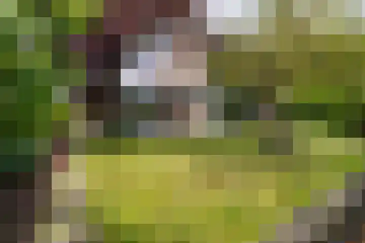 van Bevervoordenhof 13 Landsmeer thumbnail 38