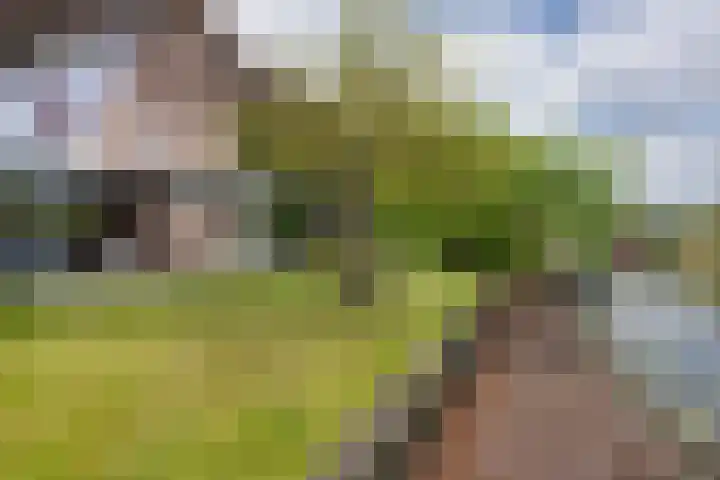 van Bevervoordenhof 13 Landsmeer thumbnail 39