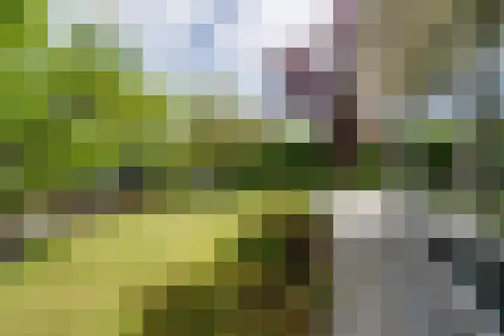 van Bevervoordenhof 13 Landsmeer thumbnail 40