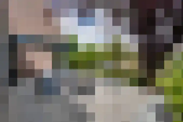 van Bevervoordenhof 13 Landsmeer thumbnail 41
