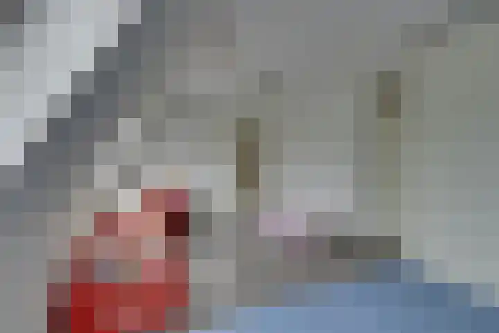 van Bevervoordenhof 13 Landsmeer thumbnail 47