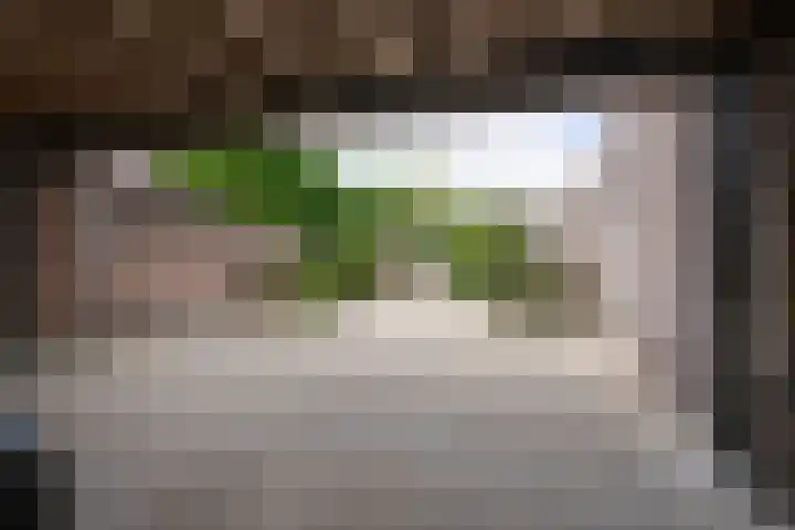 van Bevervoordenhof 13 Landsmeer thumbnail 61