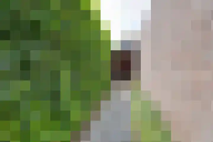 van Bevervoordenhof 13 Landsmeer thumbnail 62