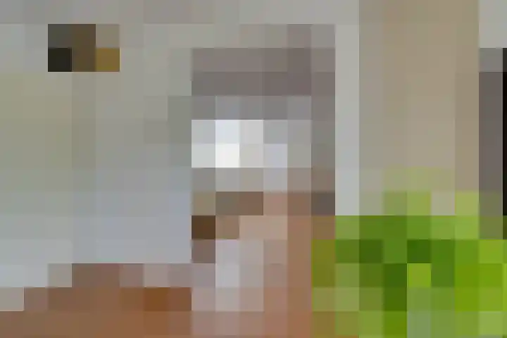 van Bevervoordenhof 13 Landsmeer thumbnail 8