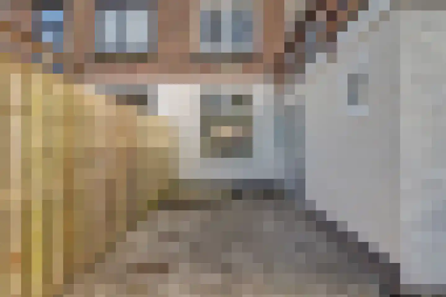 van Beverwijckstraat 13 Leeuwarden thumbnail 30