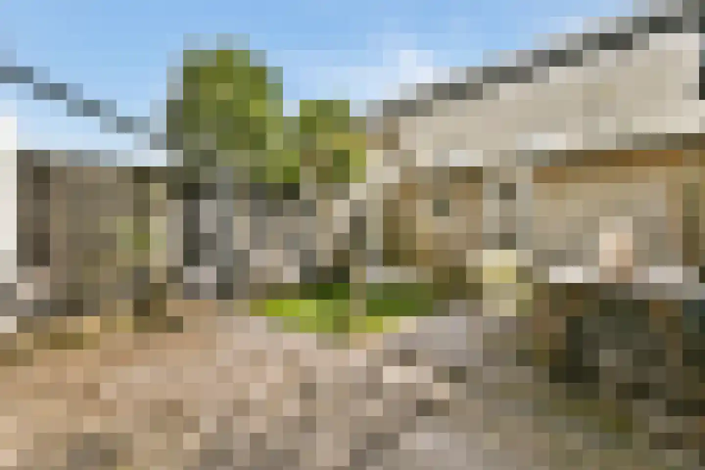 Van Beverwijckstraat 8 Haarlem thumbnail 10