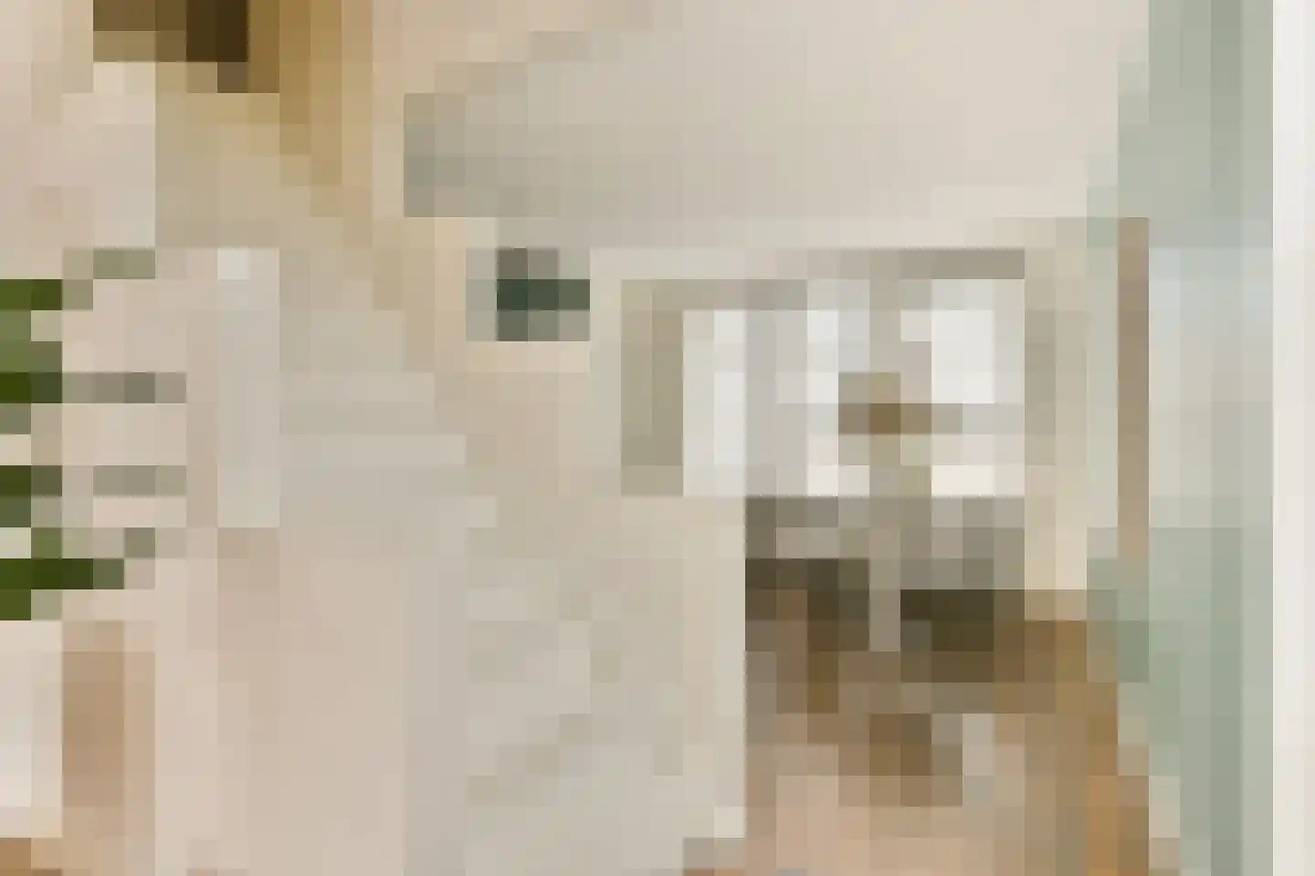 Van Beverwijckstraat 8 Haarlem thumbnail 15