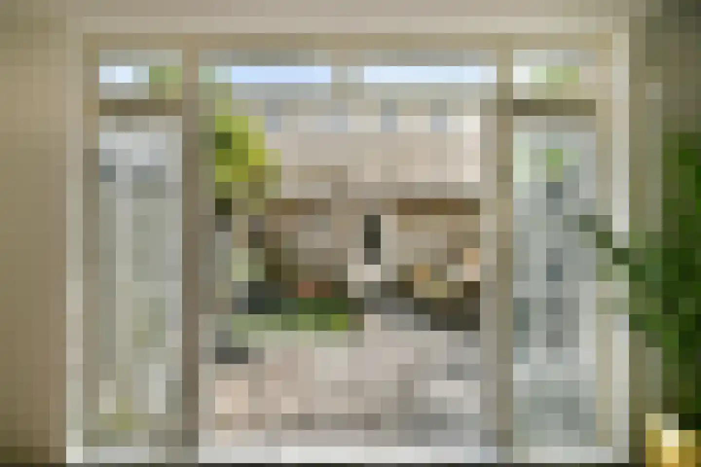 Van Beverwijckstraat 8 Haarlem thumbnail 5