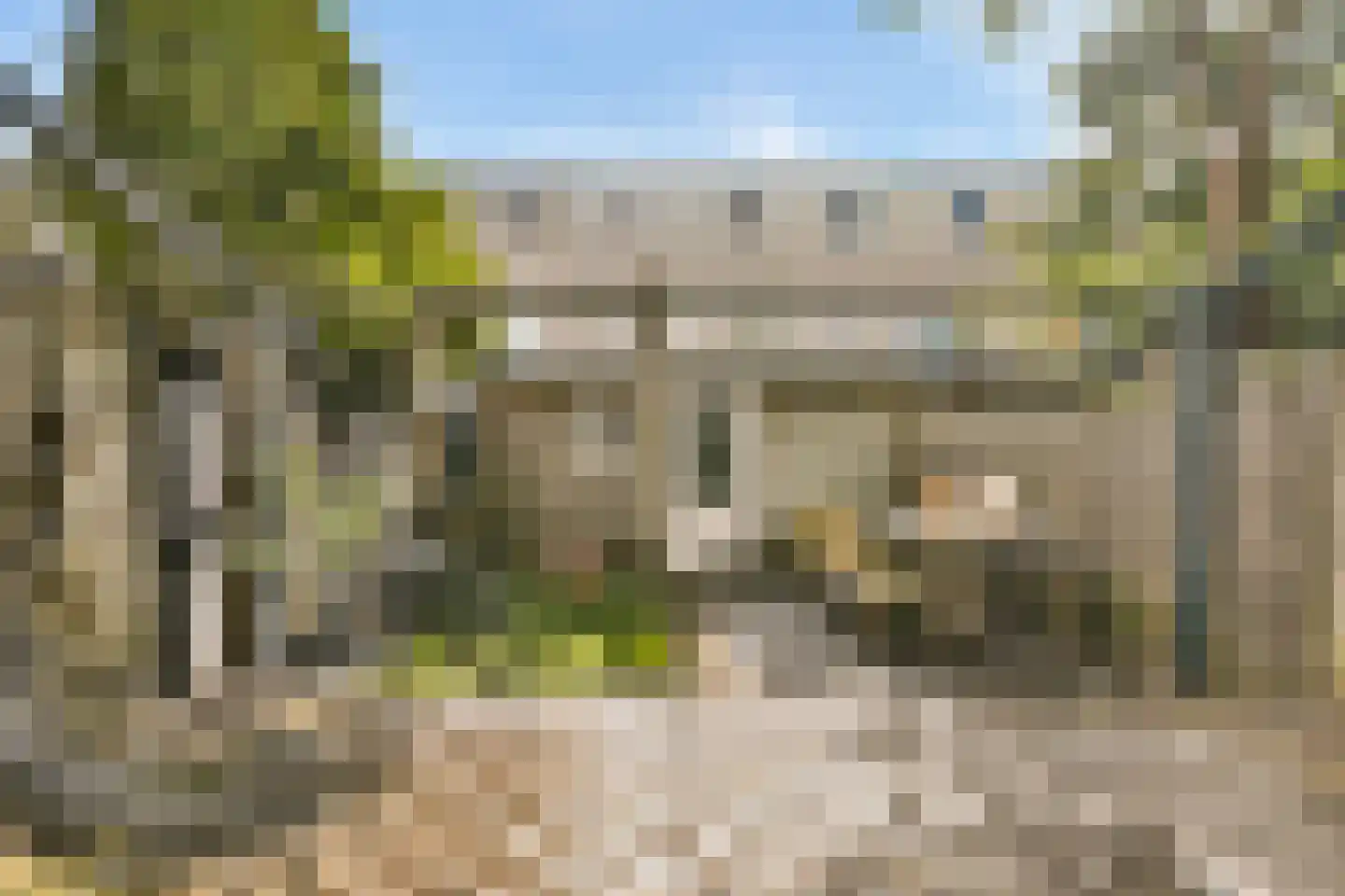 Van Beverwijckstraat 8 Haarlem thumbnail 6