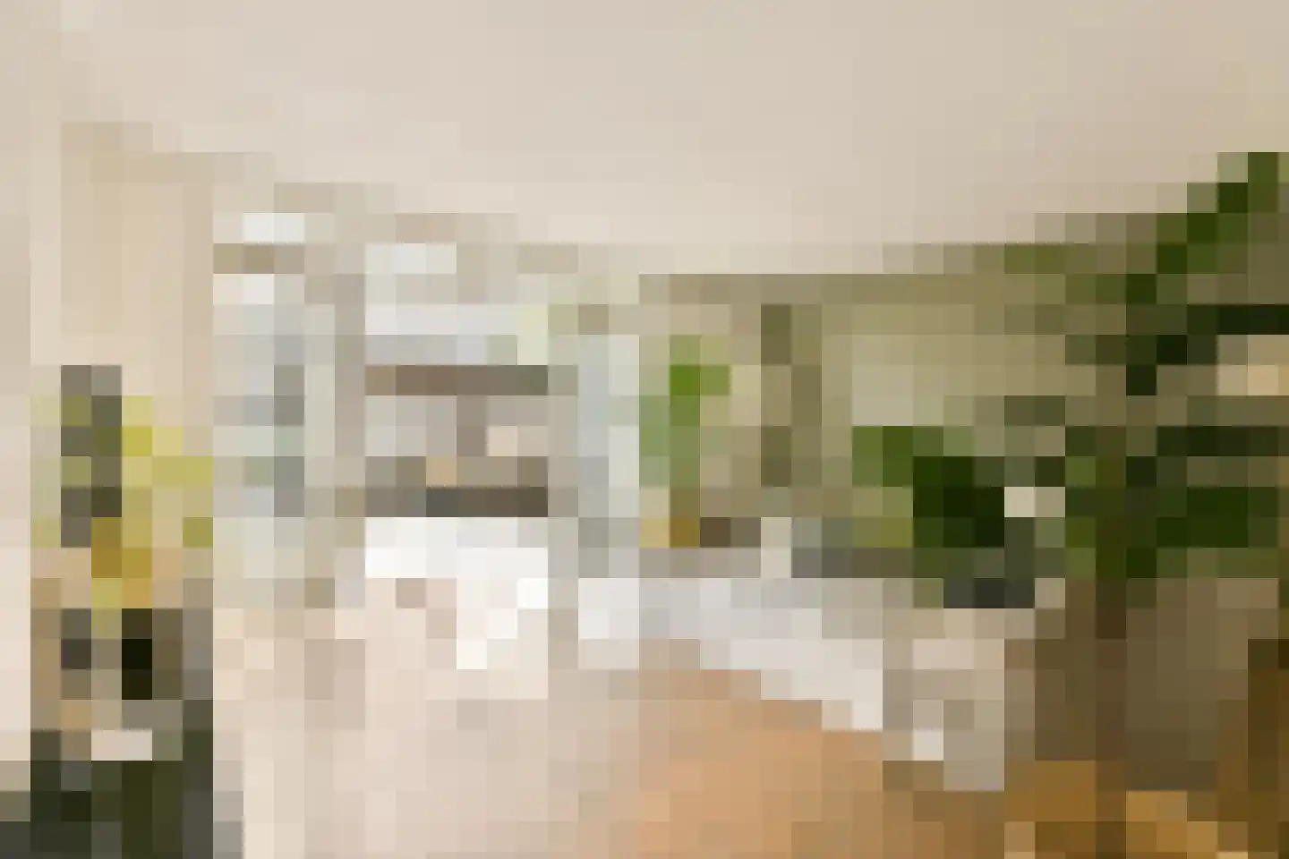 Van Beverwijckstraat 8 Haarlem thumbnail 7