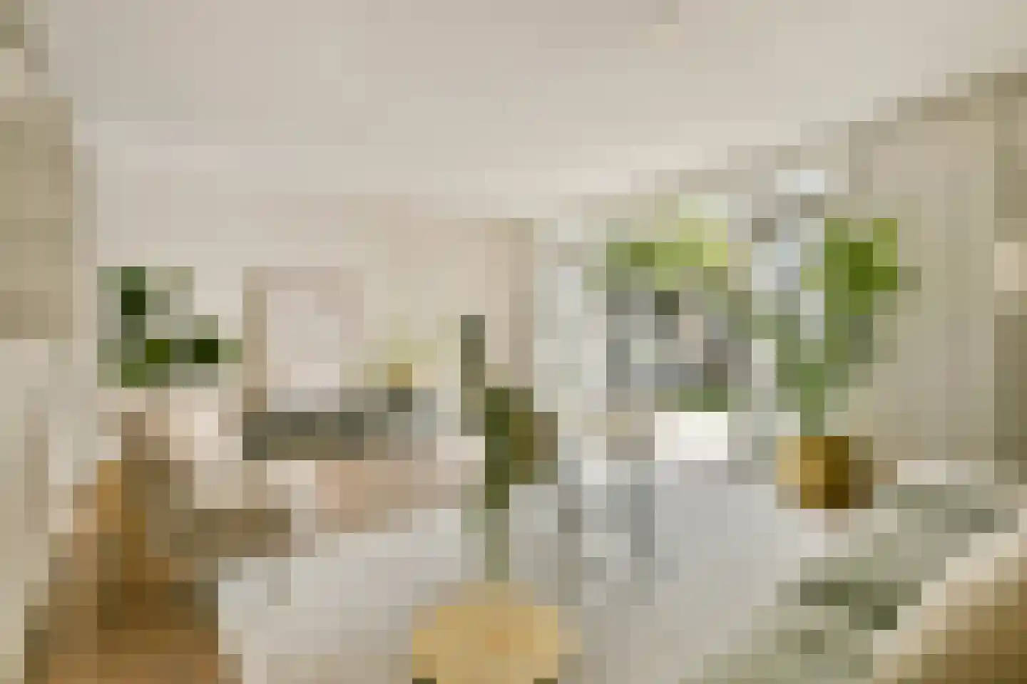 Van Beverwijckstraat 8 Haarlem thumbnail 8