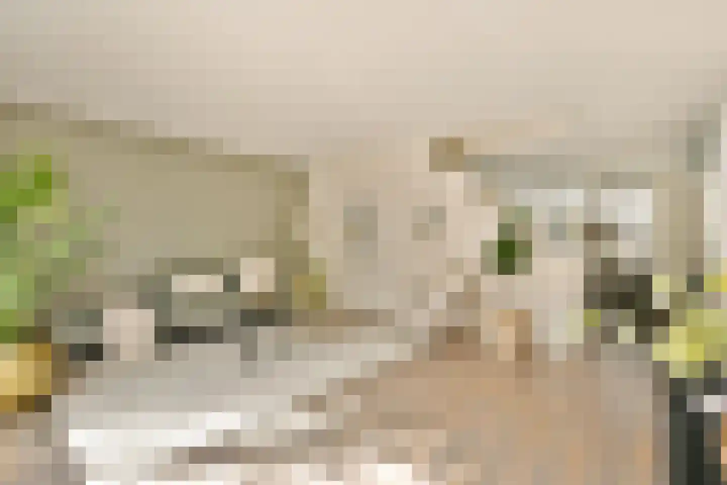Van Beverwijckstraat 8 Haarlem thumbnail 9
