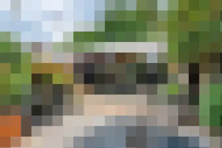 Van Beverwijkstraat 32 Schijndel thumbnail 29