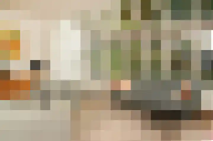 Van Beverwijkstraat 6 Schijndel thumbnail 4