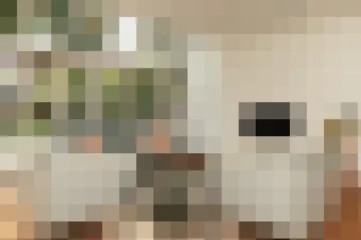 Van Beverwijkstraat 6 Schijndel thumbnail 8
