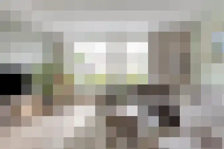 van Beverwijkstraat 8 Bergeijk thumbnail 10