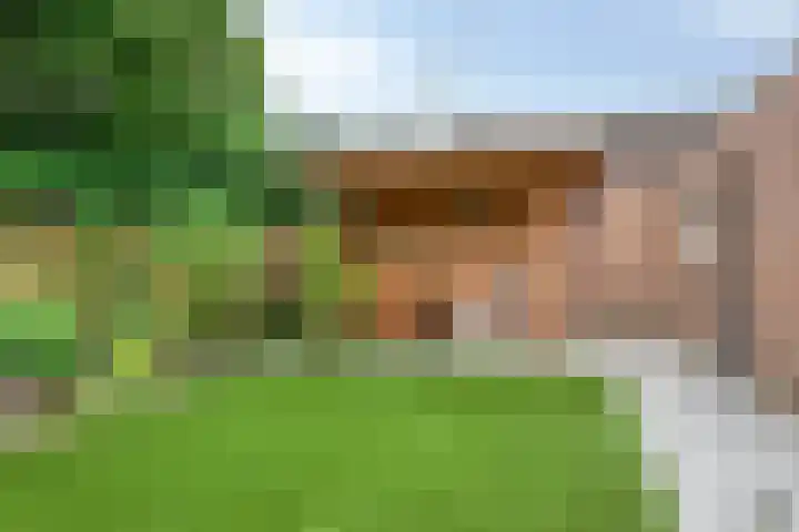 van Beverwijkstraat 8 Bergeijk thumbnail 43