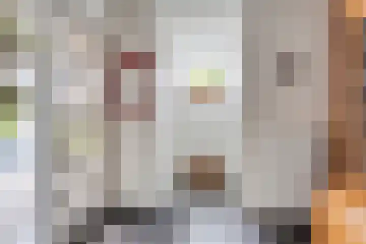 van Beverwijkstraat 8 Bergeijk thumbnail 7
