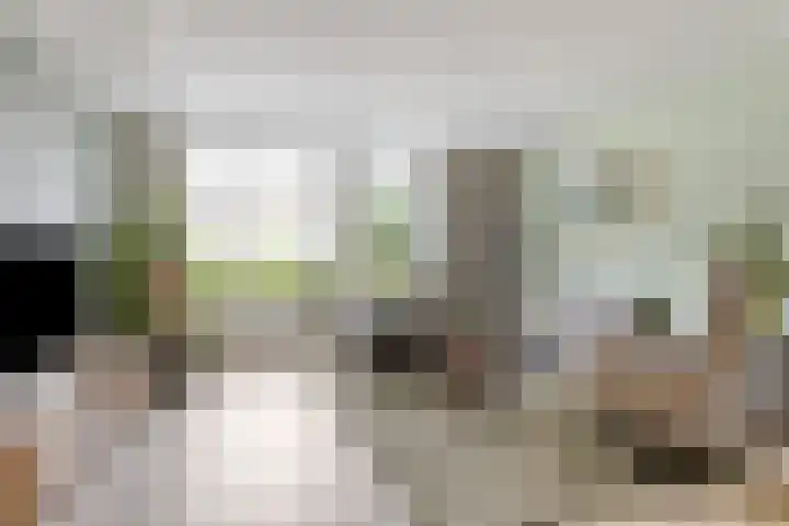 van Beverwijkstraat 8 Bergeijk thumbnail 9