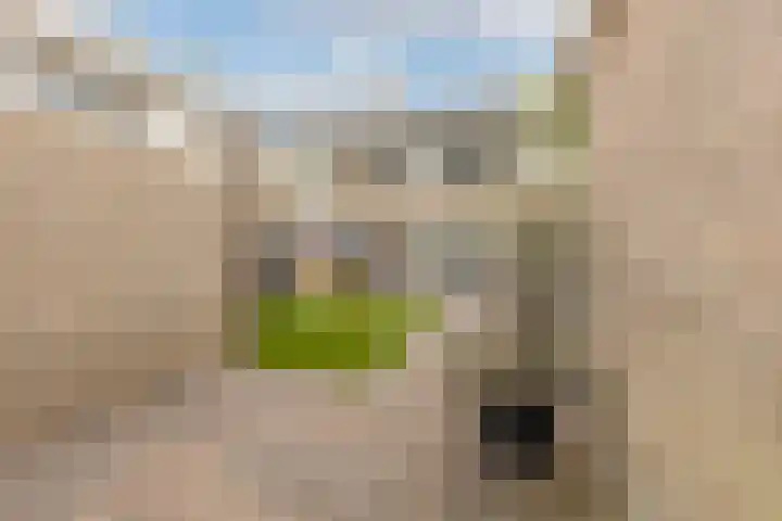 Van Beyerenstraat 4 Alkmaar thumbnail 30