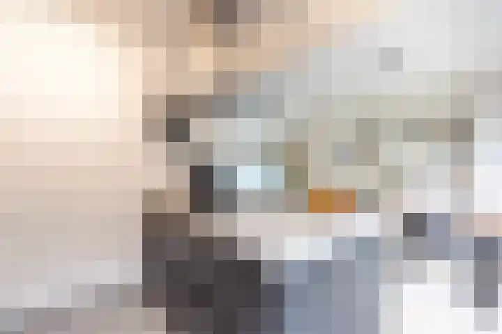 Van Beyerenstraat 4 Alkmaar thumbnail 8