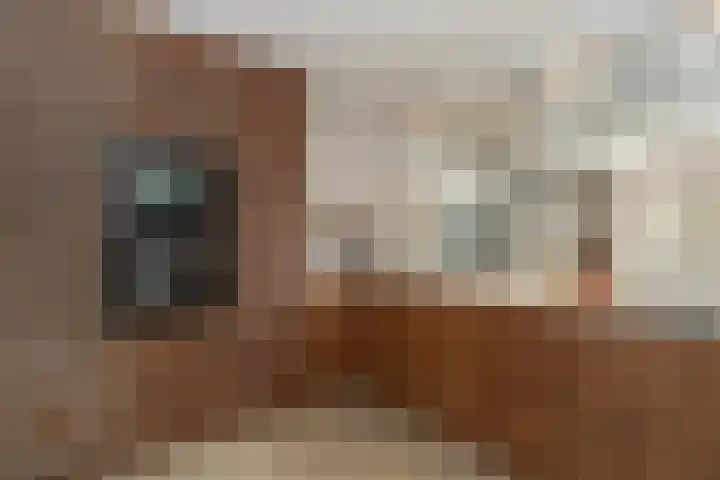 Van Bijnkershoeklaan 1 Utrecht thumbnail 11