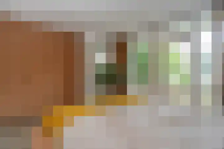 Van Bijnkershoeklaan 1 Utrecht thumbnail 16