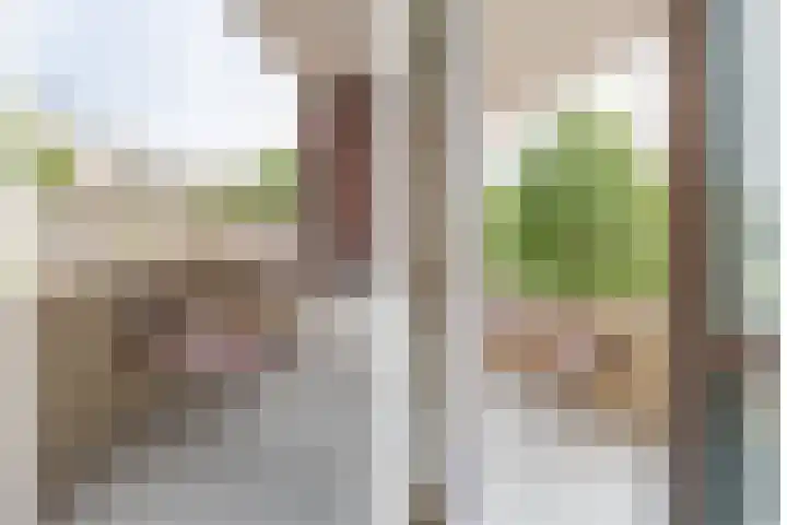 Van Bijnkershoeklaan 1 Utrecht thumbnail 17