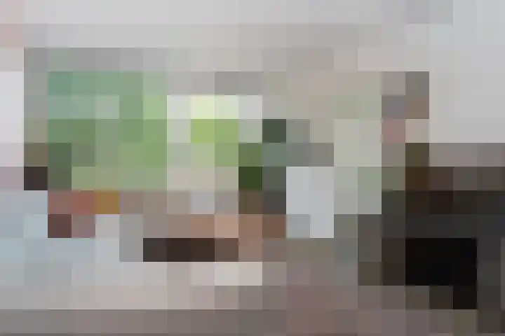 Van Bijnkershoeklaan 1 Utrecht thumbnail 5