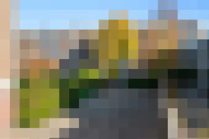 Van Bijnkershoeklaan 105 Utrecht thumbnail 28